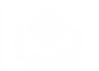 Media & Entertainment Skills Council